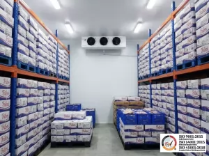 Cold Room Meat Frozen Storage: Technology & Design